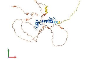 AlphaFold protein structure predicition of Mouse Recombinant Egr3 Protein, UniprotID P43300