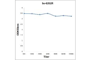 0. (TRIB2 抗体  (AA 151-250))