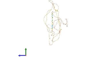 Protein Structure (PS) image for CTF8, Chromosome Transmission Fidelity Factor 8 (CHTF8) (AA 1-524) protein (His tag) (ABIN7546815)