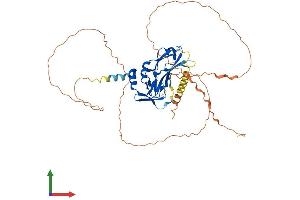 Protein Structure (PS) image for T-Box 19 (TBX19) (AA 1-446) protein (His tag) (ABIN7560405)