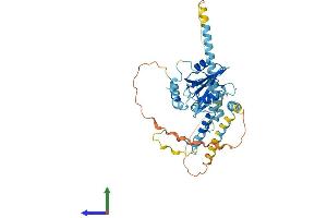 Protein Structure (PS) image for SH2 Domain Containing 4A (SH2D4A) (AA 1-421) protein (His tag) (ABIN7561098)