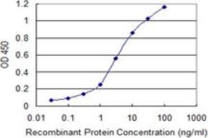 Detection limit for recombinant GST tagged SNAP25 is 0. (SNAP25 抗体  (AA 31-130))