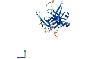 Protein Structure (PS) image for Spindlin 2B (SPIN2B) (AA 1-258) protein (His tag) (ABIN7546272)