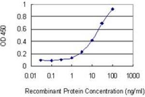 ELISA image for anti-Bromodomain Adjacent To Zinc Finger Domain, 1B (BAZ1B) (AA 1384-1483) antibody (ABIN563916)