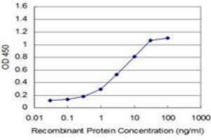 Detection limit for recombinant GST tagged MCM3 is approximately 0. (MCM3 抗体  (AA 699-808))