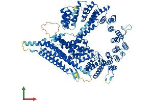 Protein Structure (PS) image for N(alpha)-Acetyltransferase 25, NatB Auxiliary Subunit (NAA25) (AA 1-972) protein (His tag) (ABIN7554684)