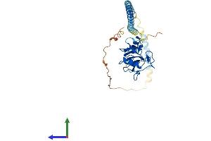 Protein Structure (PS) image for Asialoglycoprotein Receptor 2 (ASGR2) (AA 1-311) protein (His tag) (ABIN7552452)