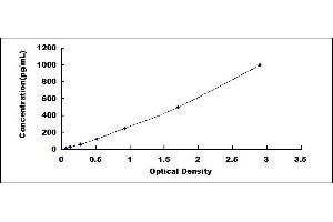 Typical standard curve (NEFH ELISA 试剂盒)