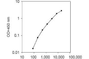 ELISA image for Interleukin 37 (IL37) ELISA Kit (ABIN4883346) (IL-37 ELISA 试剂盒)