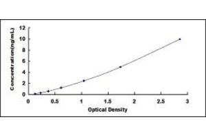 Typical standard curve (TGM1 ELISA 试剂盒)