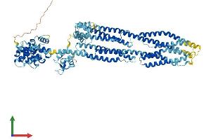 AlphaFold protein structure predicition of Mouse Recombinant Actn1 Protein, UniprotID Q7TPR4 (ACTN1 Protein (AA 1-892) (His tag))
