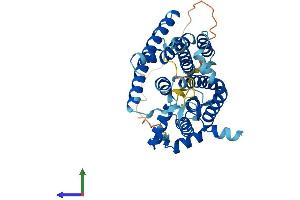 AlphaFold protein structure predicition of Human Recombinant SGPP2 Protein, UniprotID Q8IWX5