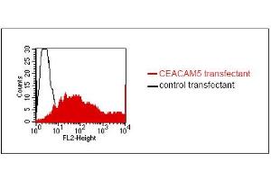 FACS analysis of BOSC23 cells using 26/3/13. (CEACAM5 抗体)