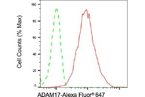 Flow cytometric analysis of ADAM17 expression in C2C12 cells using ADAM17 antibody (ABIN7797502), 1:2,000). (Recombinant ADAM17 抗体)