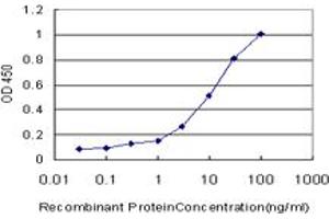 Detection limit for recombinant GST tagged AHR is approximately 0. (Aryl Hydrocarbon Receptor 抗体  (AA 721-820))