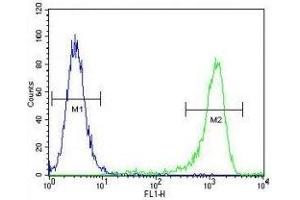 MLH1 antibody flow cytometric analysis of K562 cells (green) compared to a negative control (blue). (MLH1 抗体  (AA 452-480))