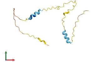 AlphaFold protein structure predicition of Mouse Recombinant Hcfc1r1 Protein, UniprotID Q9CYQ5
