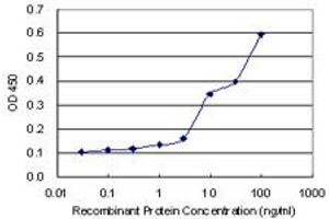Detection limit for recombinant GST tagged STAT4 is 0. (STAT4 抗体  (AA 1-748))