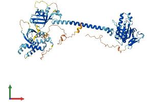 AlphaFold protein structure predicition of Mouse Recombinant Gucy1a1 Protein, UniprotID Q9ERL9