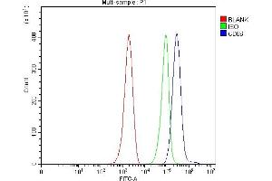 Flow Cytometry analysis of ANA-1 cells using anti-Cd86 antibody (ABIN7601417).