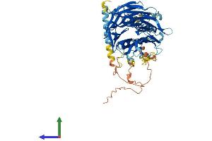 Protein Structure (PS) image for F-Box and WD Repeat Domain Containing 8 (FBXW8) (AA 1-598) protein (His tag) (ABIN7564364)
