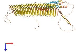 AlphaFold protein structure predicition of Mouse Recombinant Plin4 Protein, UniprotID O88492 (PLIN4 Protein (AA 1-1403) (His tag))