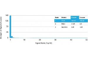 Analysis of Protein Array containing more than 19,000 full-length human proteins using C1QA Mouse Monoclonal Antibody (C1QA/2783) Z- and S- Score: The Z-score represents the strength of a signal that a monoclonal antibody (MAb) (in combination with a fluorescently-tagged anti-IgG secondary antibody) produces when binding to a particular protein on the HuProtTM array. (C1QA 抗体  (AA 104-237))