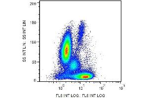 Intracellular staining of human peripheral blood with anti-Bcl2 (Bcl-2/100) APC. (Bcl-2 抗体  (AA 41-54) (APC))