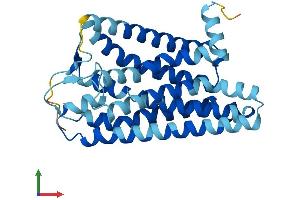 Protein Structure (PS) image for Olfactory Receptor, Family 51, Subfamily B, Member 4 (OR51B4) (AA 1-310) protein (His tag) (ABIN7550138)