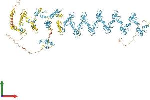 AlphaFold protein structure predicition of Human Recombinant ZNF729 Protein, UniprotID A6NN14