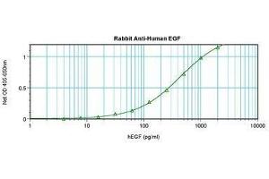 Image no. 1 for anti-Epidermal Growth Factor (EGF) antibody (ABIN465548)