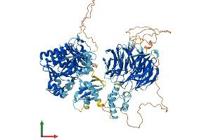 AlphaFold protein structure predicition of Human Recombinant AASDH Protein, UniprotID Q4L235 (AASDH Protein (AA 1-1098) (His tag))