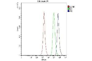Flow Cytometry analysis of A431 cells using anti-FTO antibody (ABIN7601059). (FTO 抗体  (AA 279-505))