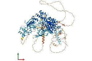 AlphaFold protein structure predicition of Human Recombinant HELB Protein, UniprotID Q8NG08