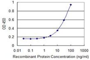 Detection limit for recombinant GST tagged RAB32 is 0. (RAB32 抗体  (AA 136-225))