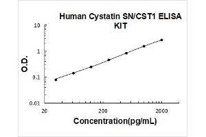 Cystatin SN (CST1) ELISA Kit