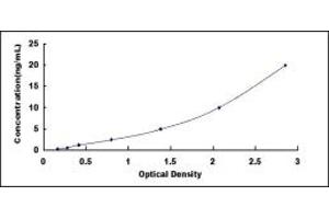 Typical standard curve (GJB6 ELISA 试剂盒)