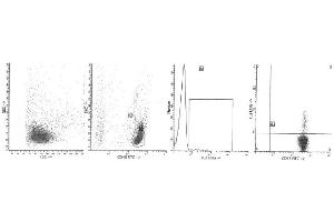 Image no. 1 for anti-Interleukin 2 (IL2) antibody (PE) (ABIN1107823) (IL-2 抗体  (PE))