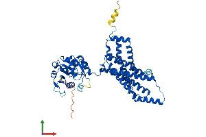 Protein Structure (PS) image for STEAP Family Member 4 (STEAP4) (AA 1-470) protein (His tag) (ABIN7560248)