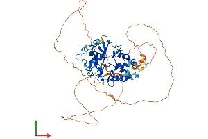 Protein Structure (PS) image for Protein Kinase, AMP-Activated, gamma 2 Non-Catalytic Subunit (PRKAG2) (AA 1-569) protein (His tag) (ABIN7551819)