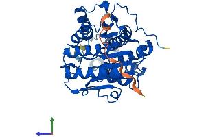 Protein Structure (PS) image for Histone Deacetylase 11 (HDAC11) (AA 1-347) protein (His tag) (ABIN7548270)