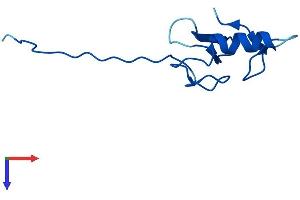 ANAPC11 Protein (AA 1-84) (Fc Tag)