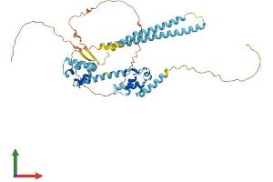 AlphaFold protein structure predicition of Human Recombinant ARC Protein, UniprotID Q7LC44