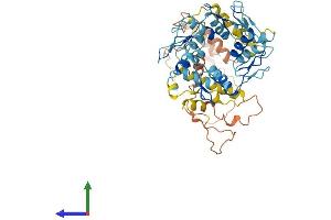 Protein Structure (PS) image for Zinc Finger Protein 695 (ZNF695) (AA 1-515) protein (His tag) (ABIN7545828)