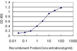 Detection limit for recombinant GST tagged TIMP2 is approximately 0. (TIMP2 抗体  (AA 27-220))
