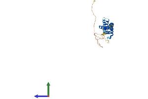 Protein Structure (PS) image for Cell Division Cycle 37-Like 1 (CDC37L1) (AA 1-335) protein (His tag) (ABIN7560797)