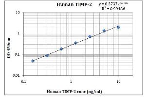 ELISA image for Metalloproteinase Inhibitor 2 (TIMP2) ELISA Kit (ABIN5026950) (TIMP2 ELISA 试剂盒)