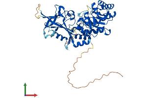 Protein Structure (PS) image for Ornithine Decarboxylase 1 (ODC1) (AA 1-461) protein (His tag) (ABIN7546979)