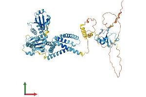 Protein Structure (PS) image for Ring Finger Protein 103 (RNF103) (AA 1-685) protein (His tag) (ABIN7551469)