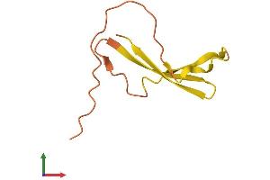 AlphaFold protein structure predicition of Human Recombinant OCR1 Protein, UniprotID Q9BZK8
